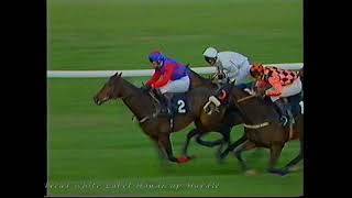 1991 Whitbread White Label Handicap Hurdle [upl. by Burtie35]