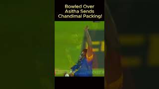 Bowled Over Asitha Sends Chandimal Packing🔥🔥🔥 lpl2024 [upl. by Suryt594]