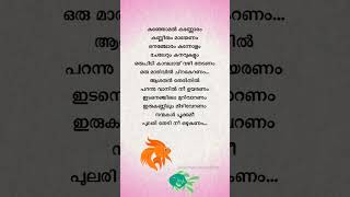 Thaniye mizhikal lyrics 🐟❤️ guppy lyrics shortsfeed [upl. by Ingar203]