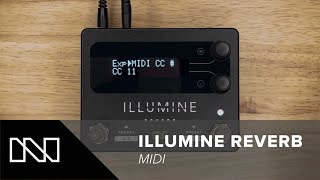 ILLUMINE Reverb  MIDI [upl. by Phyllida]