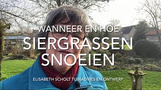 Wanneer en hoe SIERGRASSEN snoeien [upl. by Nileak]