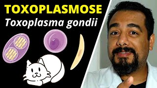 Toxoplasmose Toxoplasma gondii  Curso de Parasitologia  Ciclo Sintomas Diagnóstico [upl. by Iz571]