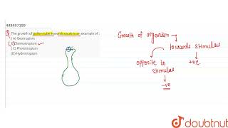 The growth of pollen tube towards ovule is an example of   A Geotropism B Chemotropism  C P [upl. by Meridith]