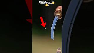 Katana VS Bullet 😱😂😀 martialarts cobra katanafight martialart funny ytshorts mrbeast [upl. by Ethban]