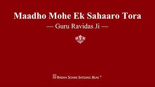 Maadho Mohe Ek Sahaaro Tora  Guru Ravidas Ji  RSSB Shabad [upl. by Stuckey]