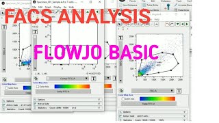 FLOWJO BASIC II FACS DATA ANALYSIS II Xgene and proteinX [upl. by Schriever445]