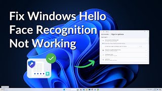 How to Fix Windows Hello Face Recognition Not Working in Windows 11 [upl. by Jordon245]