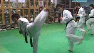 NAMCHANG DOJANG TKDJUMBI UNDONG TKD warmingup exercises 2 [upl. by Oirtemed]