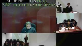 AUDIENCIA DE JUICIO MATERIA PENAL [upl. by Cassandra]