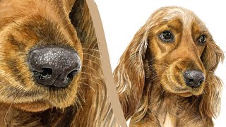 Paint a dog nose step by step [upl. by Trevethick]