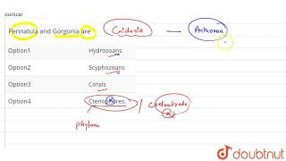 Pennatula and Gorgonia are [upl. by Dumm]