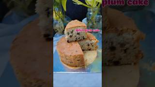 white plum cake കഴിച്ചിട്ടുണ്ടോ😋🍰shortsfeedplumcakecakeloverhomemadecakeyoutubeshorts [upl. by Elah934]