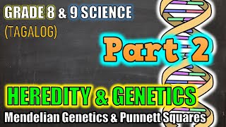 Genetics amp Heredity  Punnett Squares  Gr 8 amp 9 Part 2  Tagalog [upl. by Lenoel123]