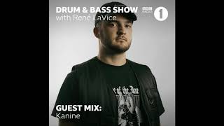 Kanine Guest Mix  BBC Radio 1 2020 [upl. by Neicul639]