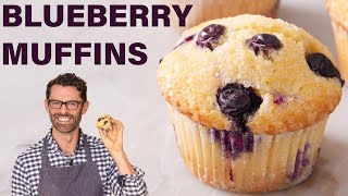 BEST Blueberry Muffins Recipe [upl. by Alduino]