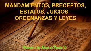 MANDAMIENTOS PRECEPTOS ESTATUS JUICIOS ORDENANZAS Y LEYES [upl. by Mulloy663]