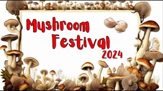 11th Annual National Mushroom Festival 2024  Lahore Organic Village [upl. by Yendyc212]