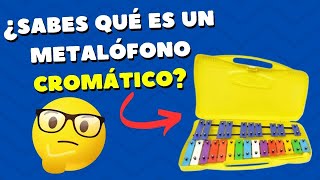 🎵 ¿Qué es un METALÓFONO CROMÁTICO 🎼 [upl. by Chelsae]