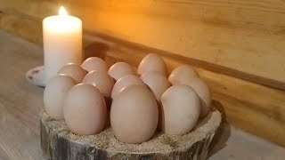 Homemade egg carton rustic timber style idea DIY [upl. by Iniretake]