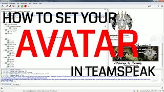 Set Your Avatar in Teamspeak 3 [upl. by Sydel]