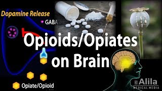 Opioids Mechanism of Action Addiction Dependence and Tolerance Animation [upl. by Canning]