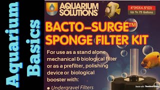 Basics Aquarium Sponge filters [upl. by Dasie]