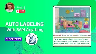 Auto labelling con SAM Anything amp GPU  Python  Parte 2 [upl. by Paymar]