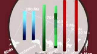 Evolution of the Y Chromosome [upl. by Hanselka]