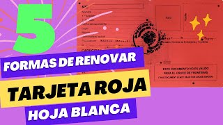 🛑🇪🇦Cita previa Policía Nacional de extranjería  5 formas para renovar TarjetaRoja hojablanca 🛑🇪🇦 [upl. by Zel]