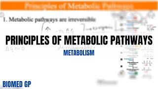 Principles of metabolic pathways [upl. by Heinrick]