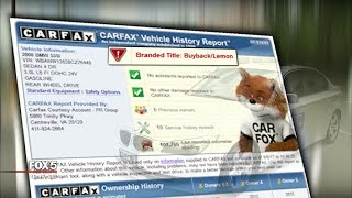 ITeam From Carfax To Carfake How Did FOX 5 ITeam Wind Up With Altered Car Report [upl. by Aliuqaj46]