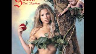 Shakira feat Wycef Jean  Hips Dont Lie  Descarga 320 Kbps  Letra HQ [upl. by Rico]