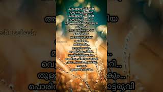 All time favorite Vellichillum vithari love [upl. by Kendricks987]