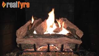 Real Fyre Red Oak Gas Logs Live Burn Video – eFireplaceStore [upl. by Slen]