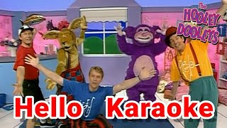 The Hooley Dooleys  Hello Karaoke [upl. by Argyle249]