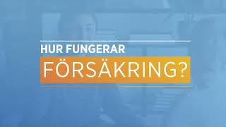 Hur fungerar försäkring [upl. by Evad]