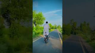 King 46 👑 bikeonewheeling stunt wheeliebike onewheeling wheelie shorts ytshorts [upl. by Buller959]