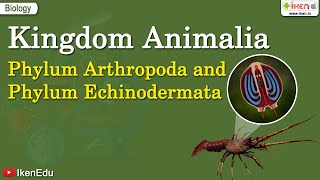 Kingdom Animalia Phylum Arthropoda and Phylum Echinodermata  iKen  iKen App  iKen Edu [upl. by Andrey131]