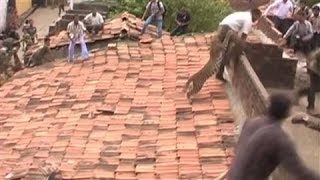 Leopard Charges at Rescue Workers in Central India [upl. by Annyl]