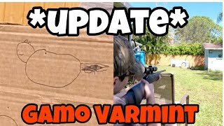 Gamo Varmint Air Rifle UPDATE [upl. by Bordy747]