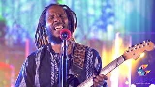 Ziggy Marley 2020 Live Concert Stream [upl. by Yednil]