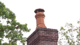 chimney cover to stop birds [upl. by Edora]