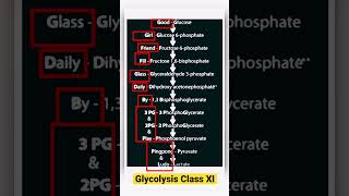 respiration in plants class 11  glycolysis cycle in hindi shorts [upl. by Ennelram]