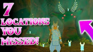 7 More CRAZY Locations You MISSED In Zelda Tears of the Kingdom Iwata Monument [upl. by Hermy88]