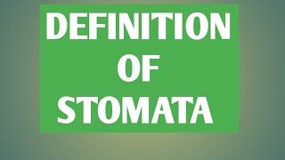 DEFINITION OF STOMATA ll WHAT IS STOMATA [upl. by Eldrida]