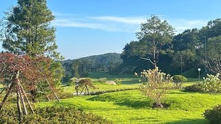 골린이 연습 5분후 스크린18홀 가자 구독 좋아요 아이언스윙골프독학 골프스윙 골프 드라이버스윙 필드 [upl. by Aikram]