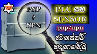 pnp vs npn plc type  පීඑල්සී සිංහලෙන්  electrical sinhala [upl. by Aerdna872]