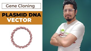 Plasmid DNA vector in gene cloning  plasmid vector  pbr322 vector  puc 19 vector [upl. by Hars]