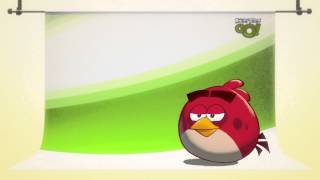 All Angry Bird Characters  Tutorial amp Gameplay Bad Piggies Not Included [upl. by Zurkow124]