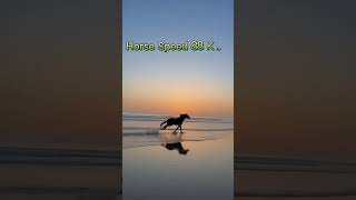 Animal Speed 😯 cheeta lion horse falcon shorts ytshortsindia shortsfeed animal animalvideo [upl. by Aled]